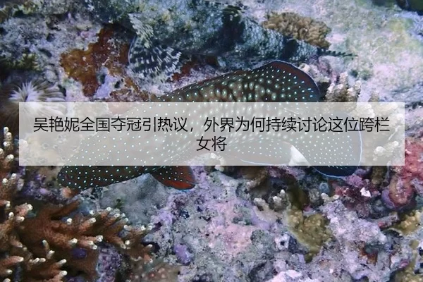 吴艳妮全国夺冠引热议，外界为何持续讨论这位跨栏女将